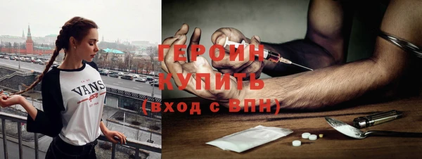 сатива Новодвинск