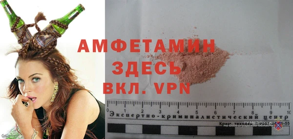 сатива Новодвинск