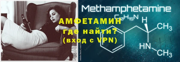 сатива Новодвинск