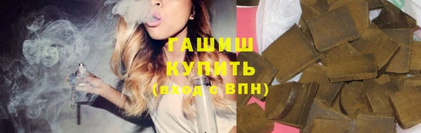 сатива Новодвинск