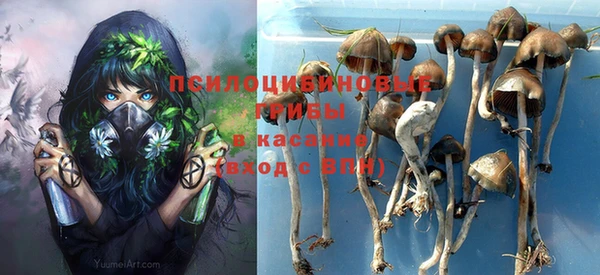 гидра Новокубанск