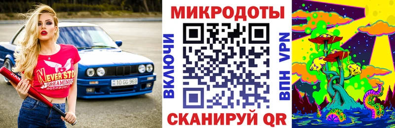 Галлюциногенные грибы Psilocybe  Заволжье 