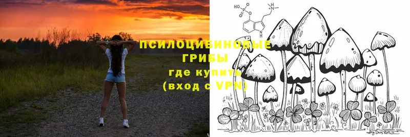 Псилоцибиновые грибы MAGIC MUSHROOMS  Заволжье 