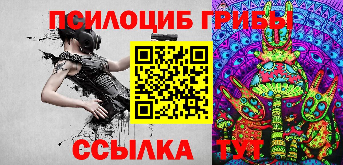 Галлюциногенные грибы прущие грибы Заволжье